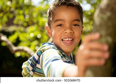 Happy little boy playing in a tree.