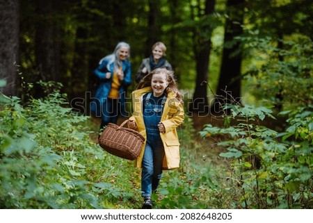 Similar – Image, Stock Photo Mushrooms in the forest