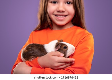 Happy little girl in casual orange sweatshirt hugging cute guinea pig while standing against purple background