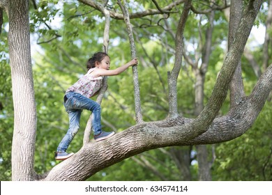 Happy Little Girl Climbing A Tree