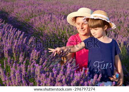 Similar – In the lavender field