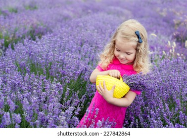 Happy Little Girl Is In A Lavender Field Holds A Basket Of Flowers