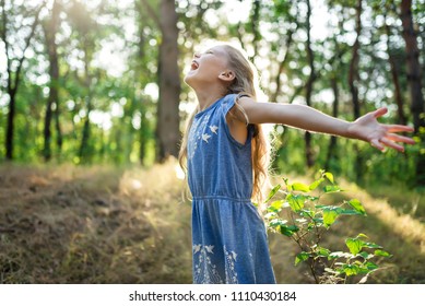 Happy Little Girl Raises Hands Sun Stock Photo 1110430184 | Shutterstock