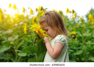 5,858 Smell the sunflower Images, Stock Photos & Vectors | Shutterstock