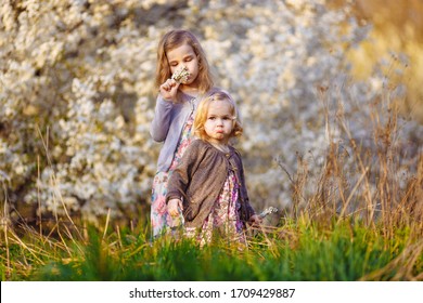happy little girls with blond hair in the thickets of blooming bushes with twigs in his hands. warm spring and blossom. - Shutterstock ID 1709429887
