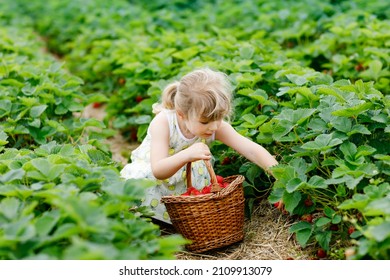 8,482 Kids plantation Images, Stock Photos & Vectors | Shutterstock