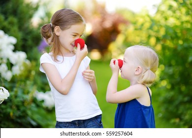 Happy little sisters wearing red clown noses having fun together on sunny summer day outdoors 