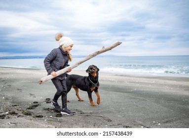 Happy little skinny girl in warm clothes plays with a big dry curve stick with her big faithful funny dog of the Rottweiler breed, in cold cloudy weather on a sandy sea wild beach