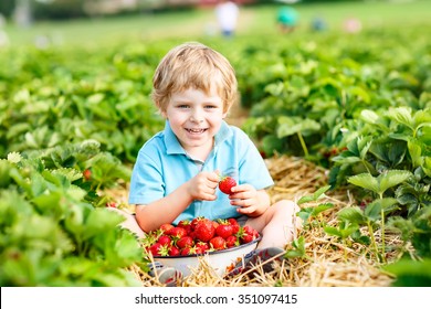 Happy little toddler kid boy picking and eating strawberries on organic pick a berry farm in summer, on warm sunny day. Harvest fields. Healthy food for children. Gardening and farming concept - Powered by Shutterstock