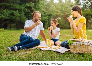 Happy Lovely Family Eating Sandwiches On Picnic