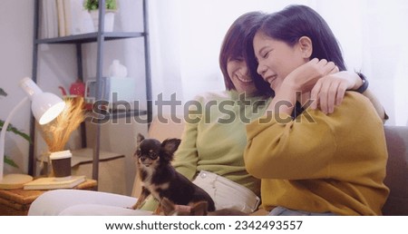 Happy Loving Asian lesbian couple lgbt smiling embracing together while sitting on the couch at home. couple holding petting cute chihuahua dog relaxing on sofa. lgbt relationship pet love