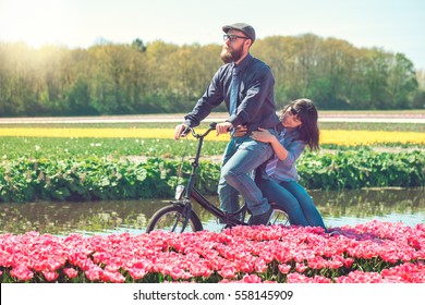 Happy loving couple cycling through a typical Dutch tulips field in spring