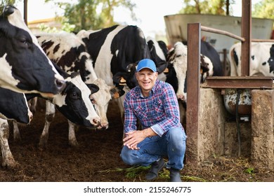 happy male farmer on cow farm around herd - Shutterstock ID 2155246775