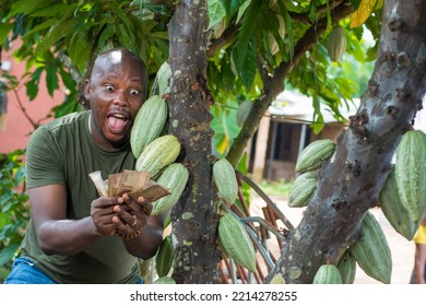 A Happy Male Farmer, Trader, Entrepreneur Or Businessman From Nigeria, Holding Multiple Nigerian Naira Cash Notes In His Hands As He Stay Close To A Cocoa Tree In A Farm