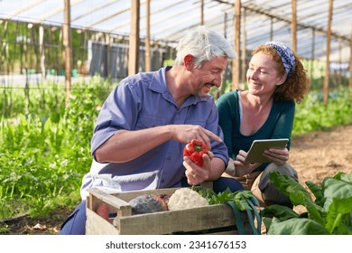 Happy male and female gardeners discussing over bell pepper and tablet computer at greenhouse - Powered by Shutterstock