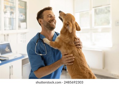 Happy male vet doctor in uniform cuddling and playing with Pembroke Welsh Corgi dog after treatment in clinic office, copy space