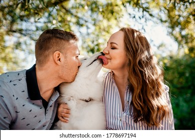 Happy Man Kisses The Dog, The Dog Licks The Happy Girl. Love, Family, Samoyed Dog