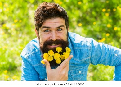 Happy Man No Allergy. Spring Allergy Concept. Fashion And Beauty. Pollen Allergy. Taking Antihistamines Makes Life Easier For Allergy Sufferers. Man With Yellow Dandelions In Beard. Breathe Free.