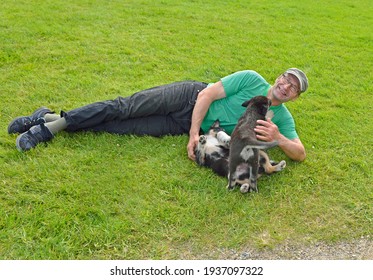 Happy man plays with puppy Lapponian Herder on green grass. Finnish Lapland