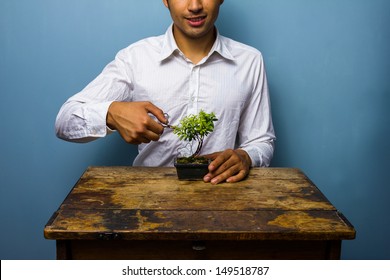 Happy Man Pruning His Bonsai Tree