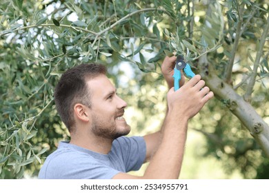 Happy man pruning olive tree in a garden at home - Powered by Shutterstock