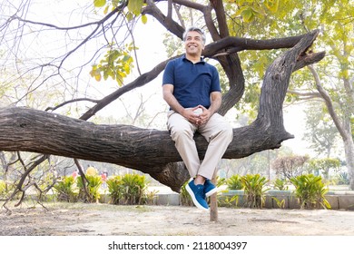 Happy man sitting on tree trunk and admiring nature in forest