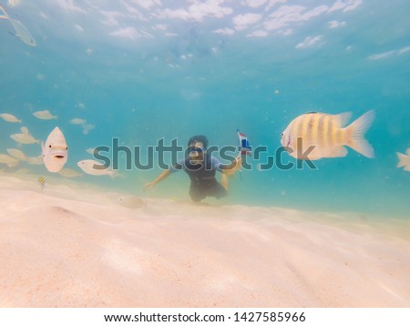 Happy man in snorkeling mask dive underwater with tropical fishes with thailand flag in coral reef sea pool. Travel lifestyle, water sport outdoor adventure, swimming lessons on summer beach holiday