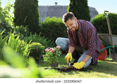 Happy man transplanting beautiful flowers into soil outdoors on sunny day. Gardening time - Powered by Shutterstock