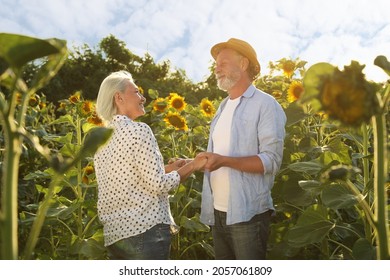 Happy Mature Couple In Sunflower Field On Summer Day