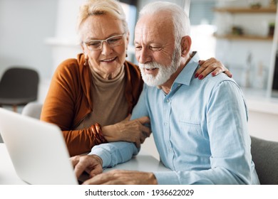 Happy  Mature Couple Using  Laptop At Home