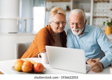 Happy  mature couple using  laptop at home