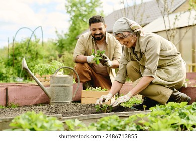 Happy mature intercultural couple in workwear sitting in front of flowerbed prepared for new seedlings and replanting strawberry - Powered by Shutterstock