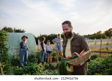 Happy Mature Man Carrying Crate With Homegrown Vegetables At Community Farm.