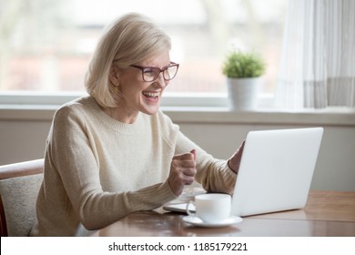 Happy mature middle aged elderly business woman winner excited by reading good news looking at laptop, glad senior older lady watching celebrating online bid bet win or great result victory concept
