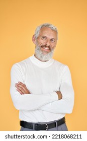 Happy Mature Older Gray-haired Business Man, Smiling Stylish Cool Middle Aged Old Senior Bearded Professional Businessman Standing With Arms Crossed Isolated On Yellow Background. Vertical