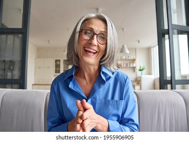 Happy Middle 60s Aged Woman Teacher, Psychologist Laughing Talking To Webcam Of Grey Haired Elderly Business Woman Staying In Living Room At Home On Virtual Meeting, Web Cam View Video Call.