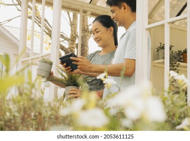 Happy Middle Aged Couples Enjoy Gardening As Family Leisure Activity Together. Senior Husband Uses Tablet Computer Searching Planting Vegetable Information. Two Healthy People Enjoying Backyard Garden