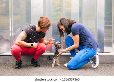 Happy middle aged lesbian couple crouching to play with their yorkshire terrier with a metallic wall at the background - Powered by Shutterstock