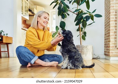 Happy middle aged woman petting her dog - Powered by Shutterstock