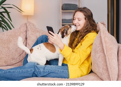 Happy Millennial Caucasian Teen Girl Checking Social Media Holding Smartphone At Home. Smiling Young Woman In Yellow Hoodie Using Mobile Phone App Playing Game, Relax On Sofa With Dog