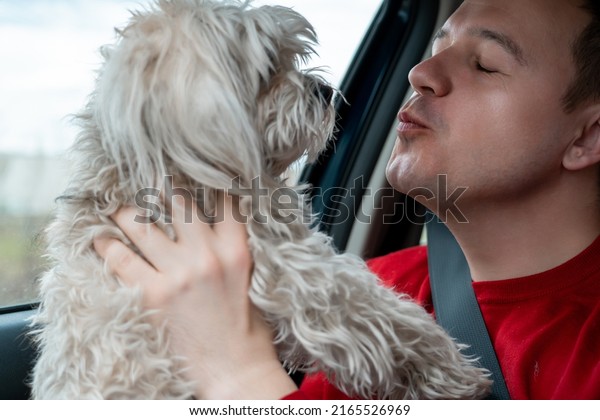 Happy millennial\
man with adoring face kisses furry lap dog while riding in car in\
passenger seat. Owner of fluffy Chinese crested dog travels by cab.\
Travel with pet on taxi