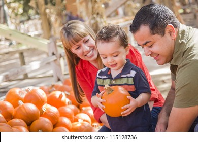 Happy Mixed Race Family Picking Pumpkins At The Pumpkin Patch.