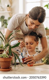 Happy mixed race family young woman with a little daughter is planting houseplants at home.Home gardening.Family leisure, hobby concept.Biophilia design and urban jungle concept.
