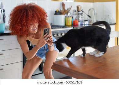 Happy Mixed Race Woman Taking A Photo Picture With Her Mobile Cell Phone Of Her Pet Cat At Home Kitchen