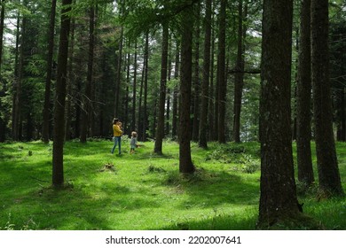 Happy mother and children walking in the forest, family vacation , family adventure - Powered by Shutterstock