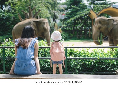 Happy mother and daughter watching and feeding elephants in zoo.  - Shutterstock ID 1133119586
