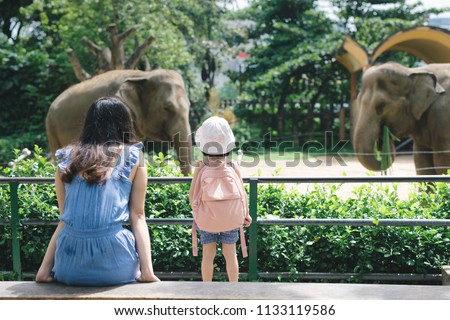 Happy mother and daughter watching and feeding elephants in zoo. 