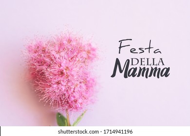 Happy Mother day text in italian Love Greeting Card, bouquet of pink flowers on a blue background