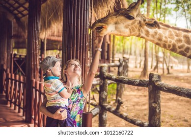 Happy mother and son watching and feeding giraffe. Happy family having fun with animals safari park on warm summer day. - Shutterstock ID 1012160722
