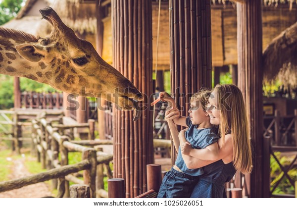 Happy mother and son watching and feeding giraffe in\
zoo. Happy family having fun with animals safari park on warm\
summer day.